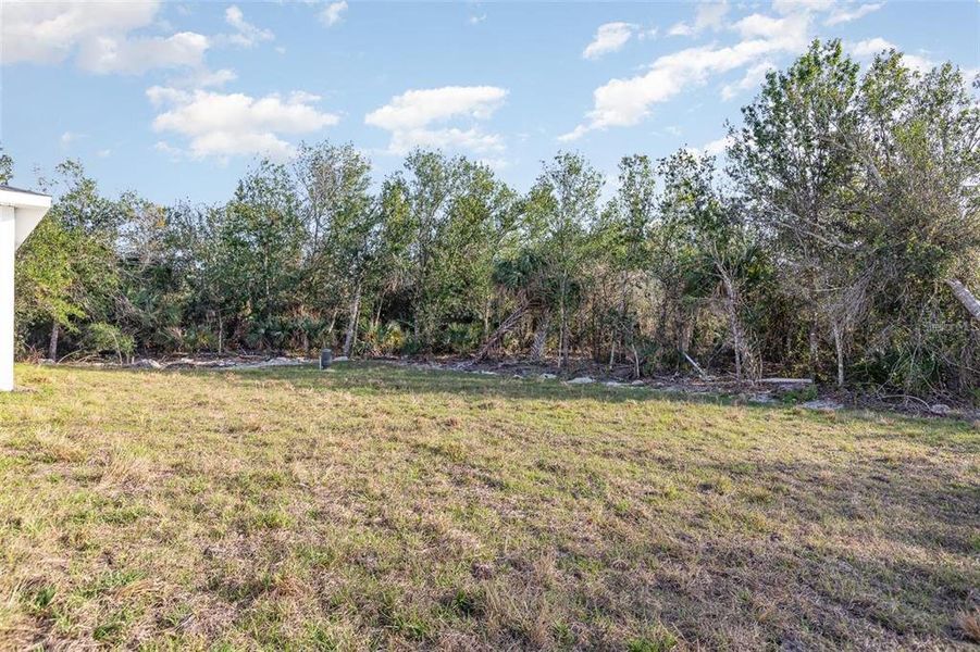 Natural landscape and outdoor views near  in Port Charlotte (Image 23).