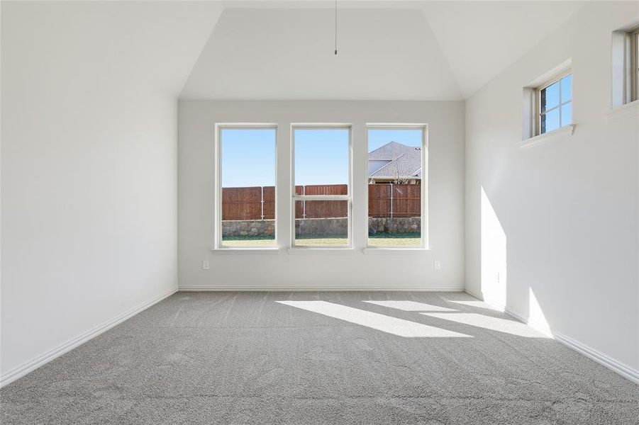 Spare room featuring carpet floors, plenty of natural light, and lofted ceiling