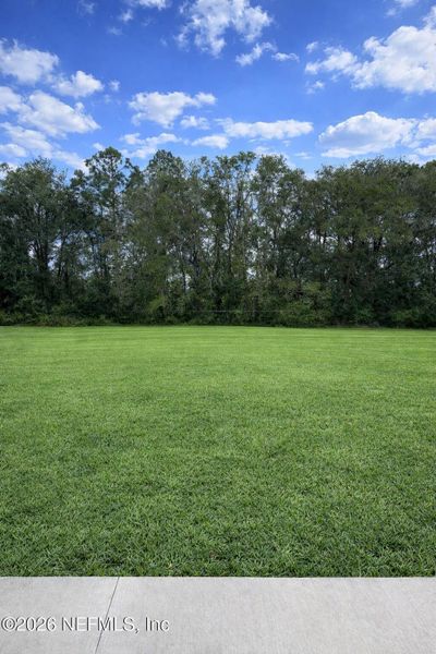 Natural landscape and outdoor views near  in Jacksonville (Image 50).