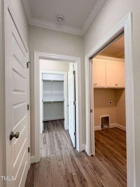 Downstairs Hallway (1)