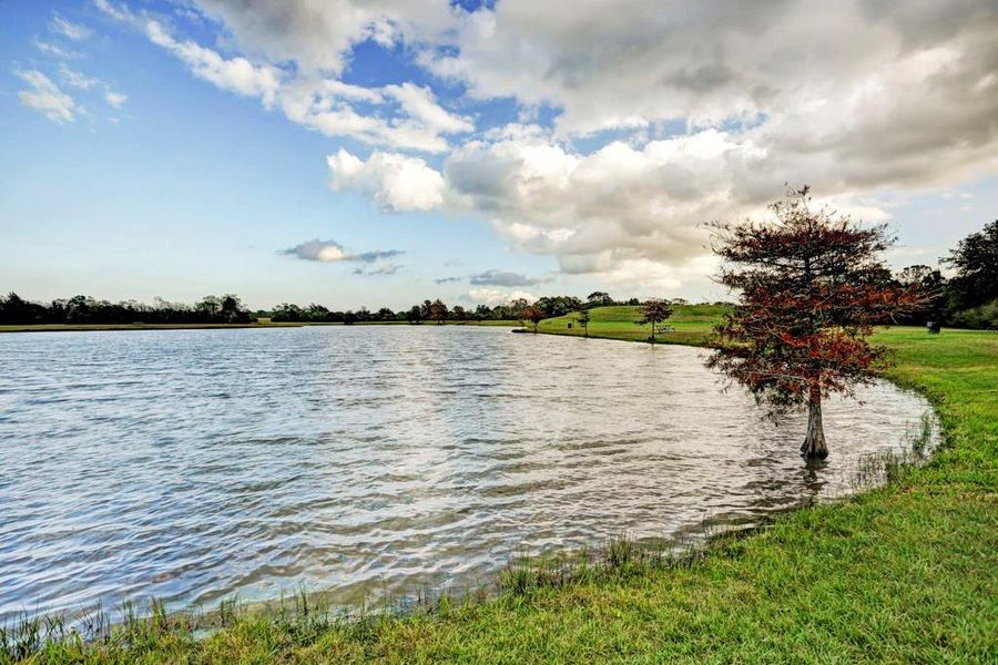 Catch large Mouth Bass and Catfish at the man made fishing pond at Challenger Seven Memorial Park.