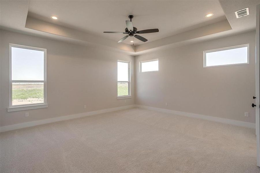 Spare room featuring visible vents, baseboards, and a raised ceiling Spare room featuring visible vents, baseboards, and a raised ceiling