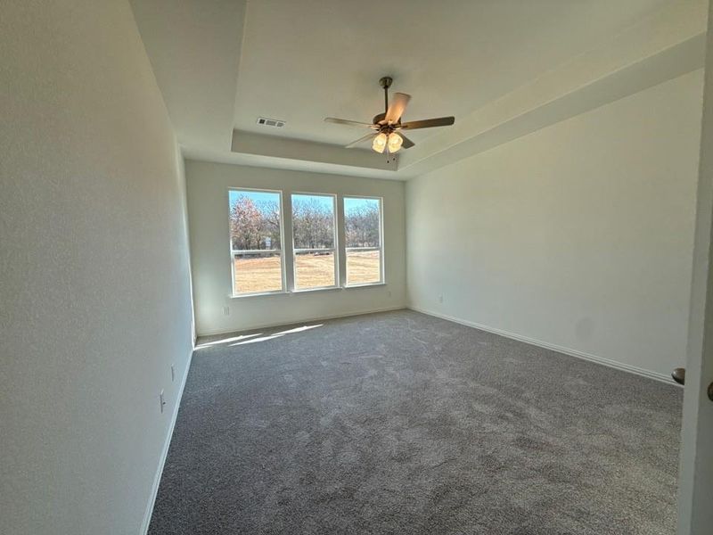 Unfurnished room featuring a tray ceiling, carpet, and a ceiling fan