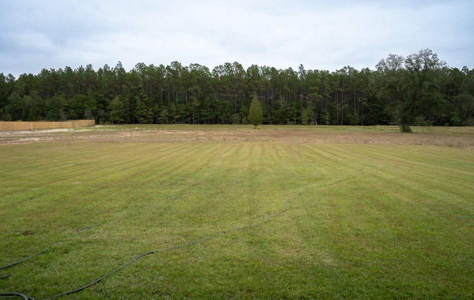 DSC03508-3 DSC03508-3