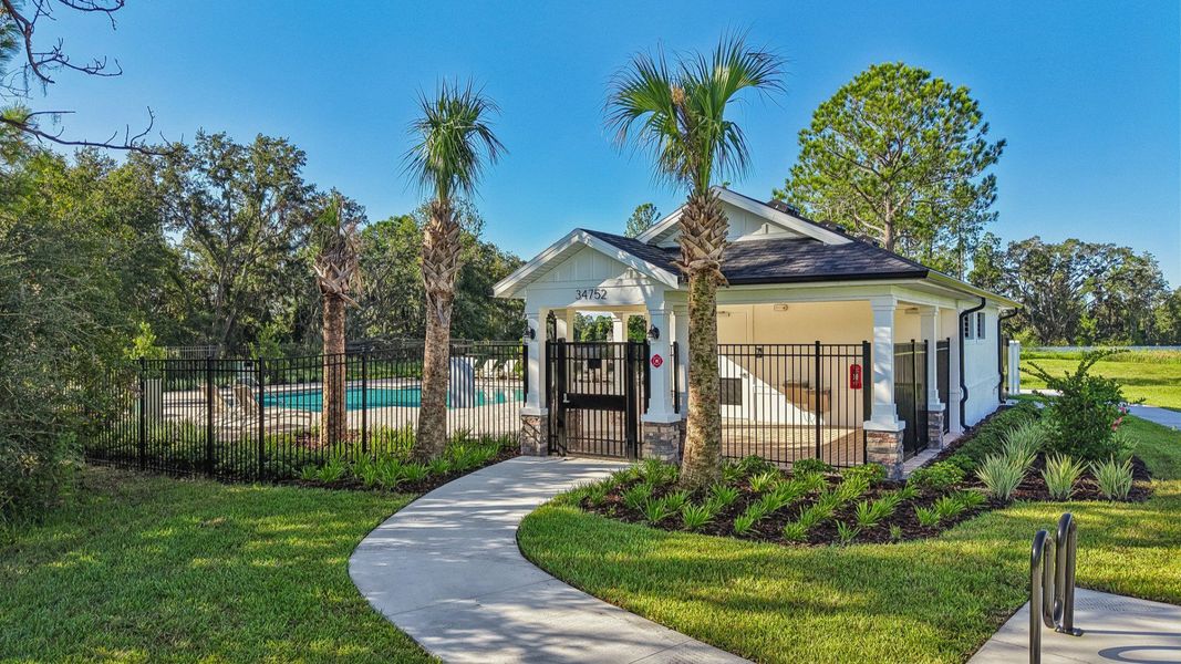 The Pool and Cabana