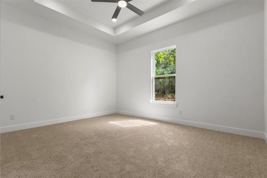 The property features a room with light-colored carpeting, white walls, and a tray ceiling