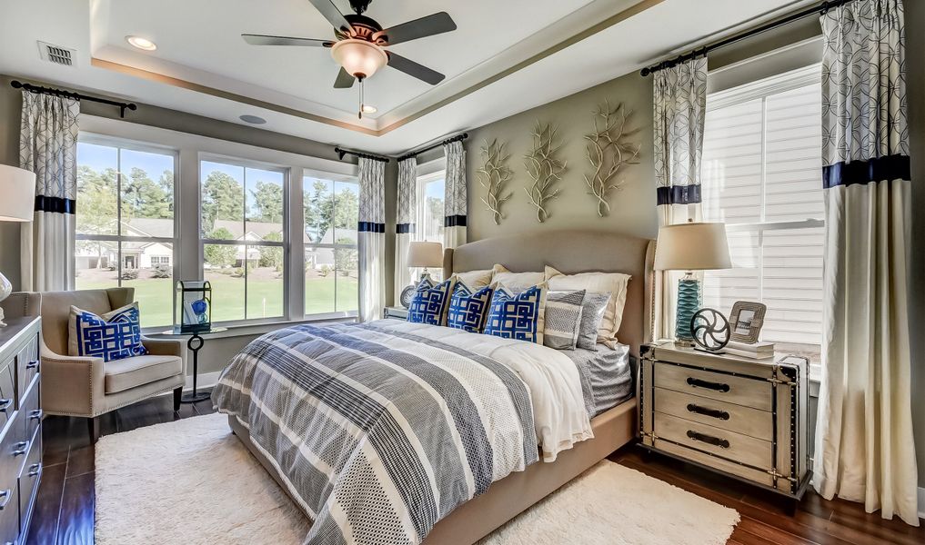 Tray ceiling in owner's suite