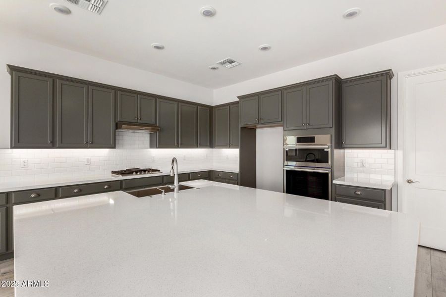 12 - Royal Palm 12 - Royal Palm