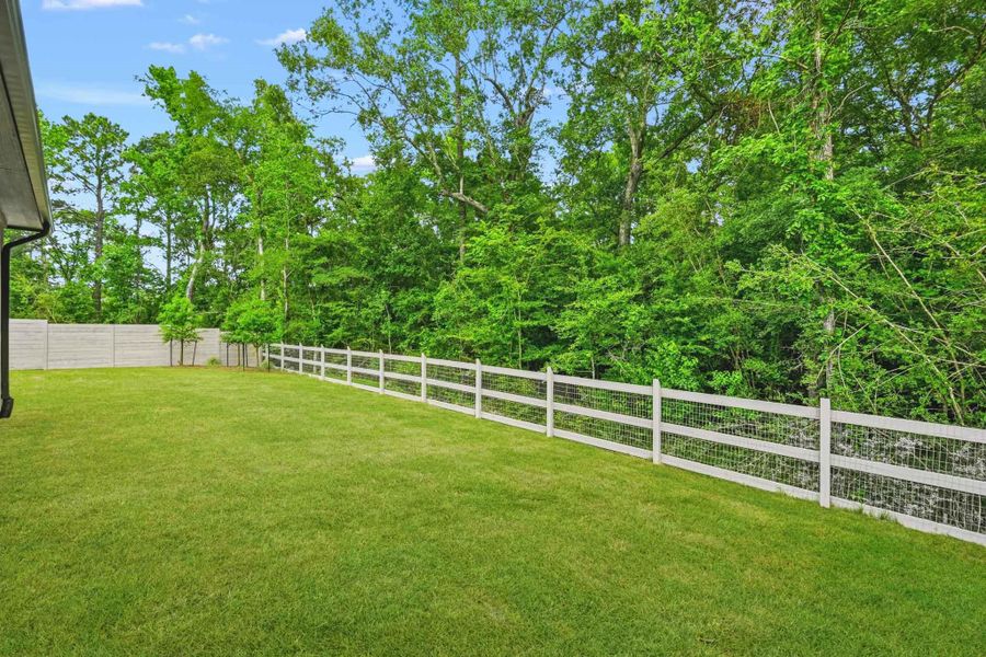 Natural landscape and outdoor views near Two Step Farm in Montgomery (Image 28).