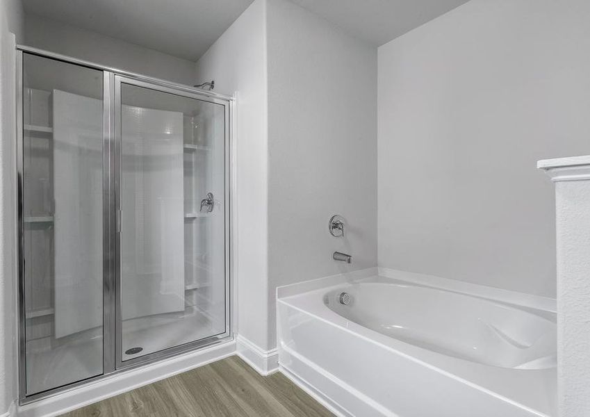 Master bath with a tub and walk-in shower.