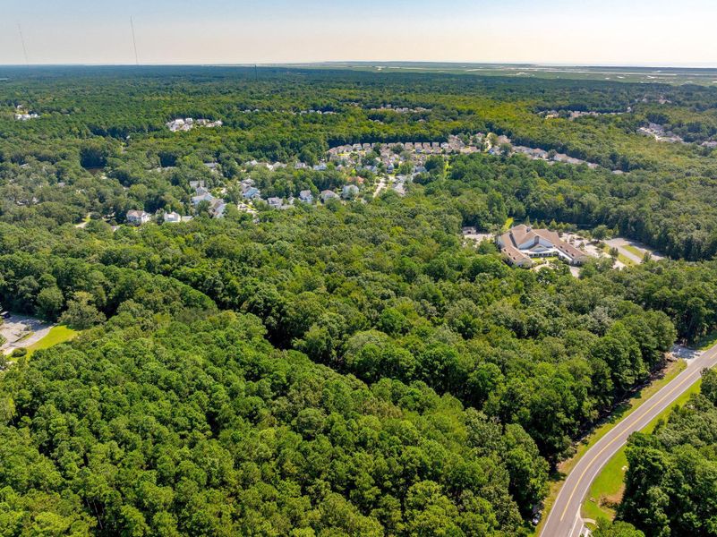Natural landscape and outdoor views near  in Mount Pleasant (Image 10).