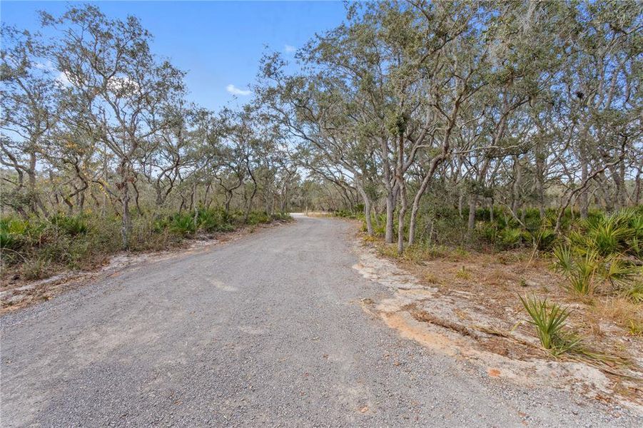 Natural landscape and outdoor views near in Frostproof (Image 32). Natural landscape and outdoor views near in Frostproof (Image 32).