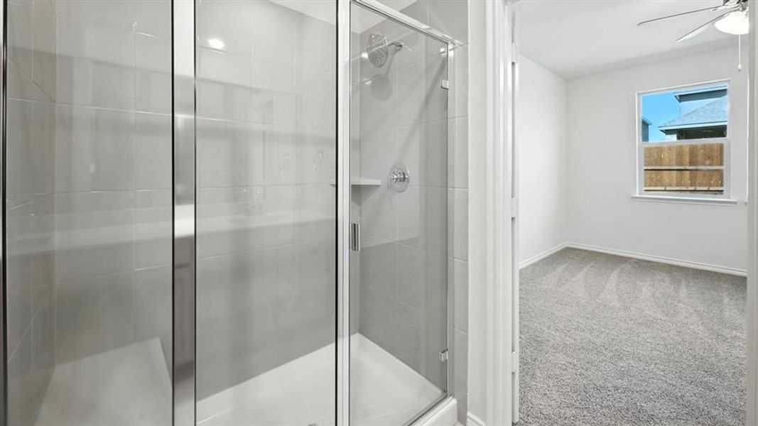 Full bath featuring carpet flooring, a stall shower, and a ceiling fan Full bath featuring carpet flooring, a stall shower, and a ceiling fan
