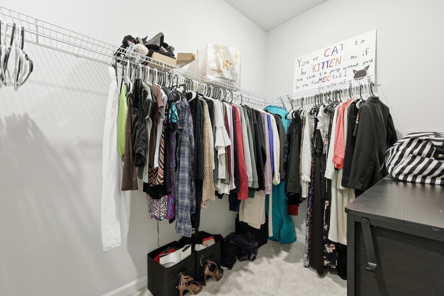 Close-up of interior finishes inside a home in Heron's Walk at Summers Corner, Summerville (Image 21).