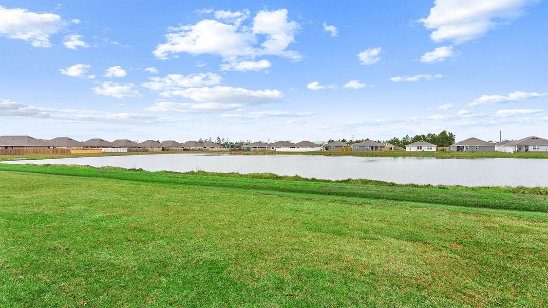 Natural landscape and outdoor views near Hodges Bayou Plantation in Panama City (Image 28). Natural landscape and outdoor views near Hodges Bayou Plantation in Panama City (Image 28).