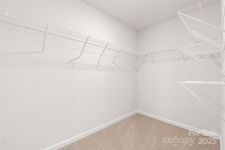 Photos are representative