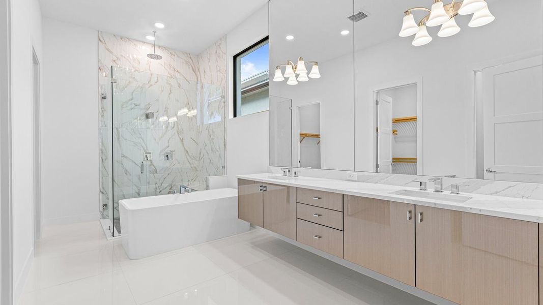 Owner's Bath