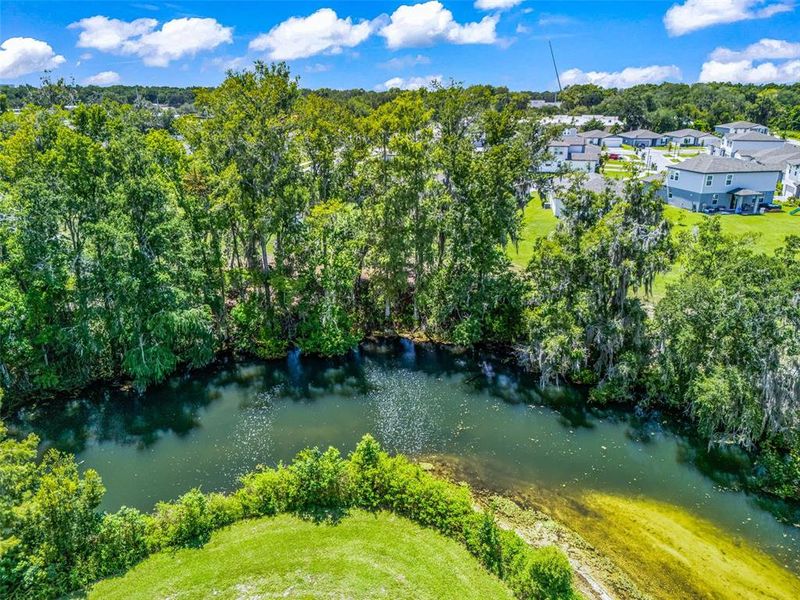 Natural landscape and outdoor views near Fox Pointe at Rivers Edge in Leesburg (Image 43).