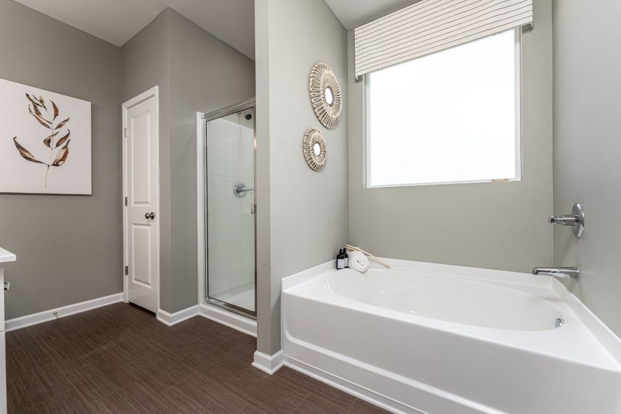 Furnished interior view inside a new home in Jackson Hills, Clarksville (Image 14).