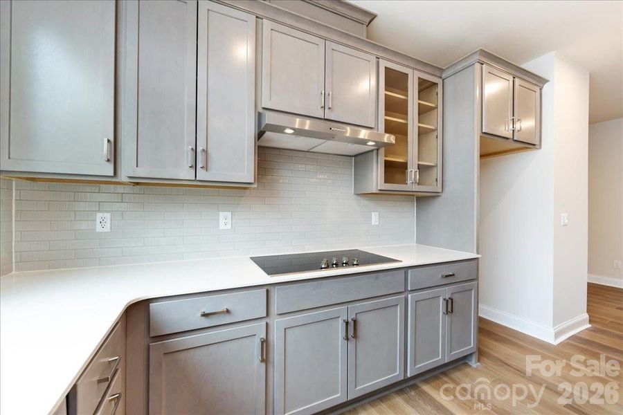 Gourmet Kitchen with Electric Cooktop