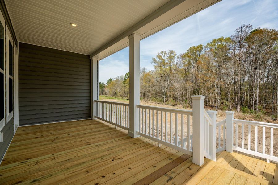 Exterior details and patio area of a home in Heron's Walk at Summers Corner, Summerville (Image 22).
