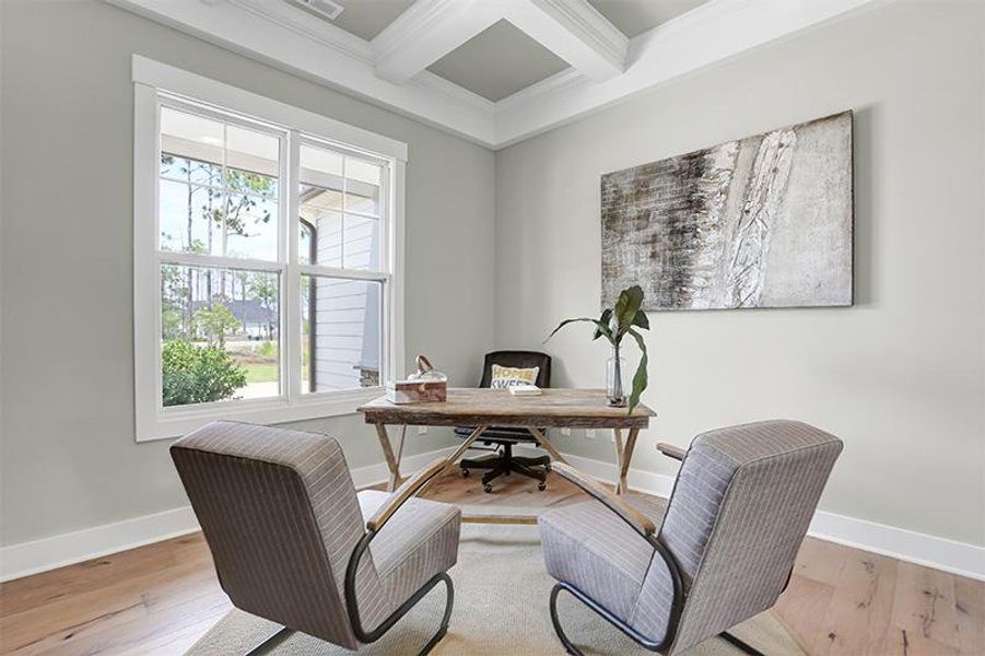 Bar Harbour I, Study