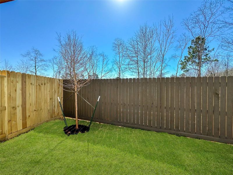 Exterior details and patio area of a home in , Conroe (Image 4).