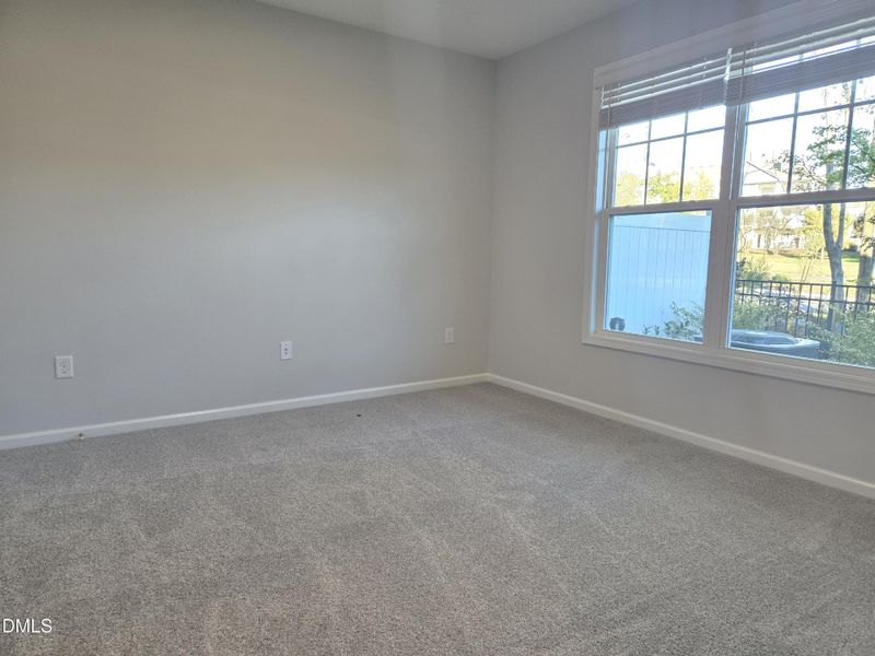 1000016450 1000016450