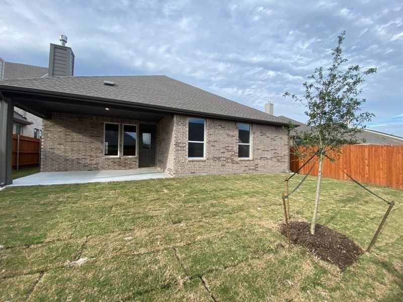 Expansive backyard featuring a covered concrete patio, brick exterior, dark-framed windows, and a newly planted tree Expansive backyard featuring a covered concrete patio, brick exterior, dark-framed windows, and a newly planted tree