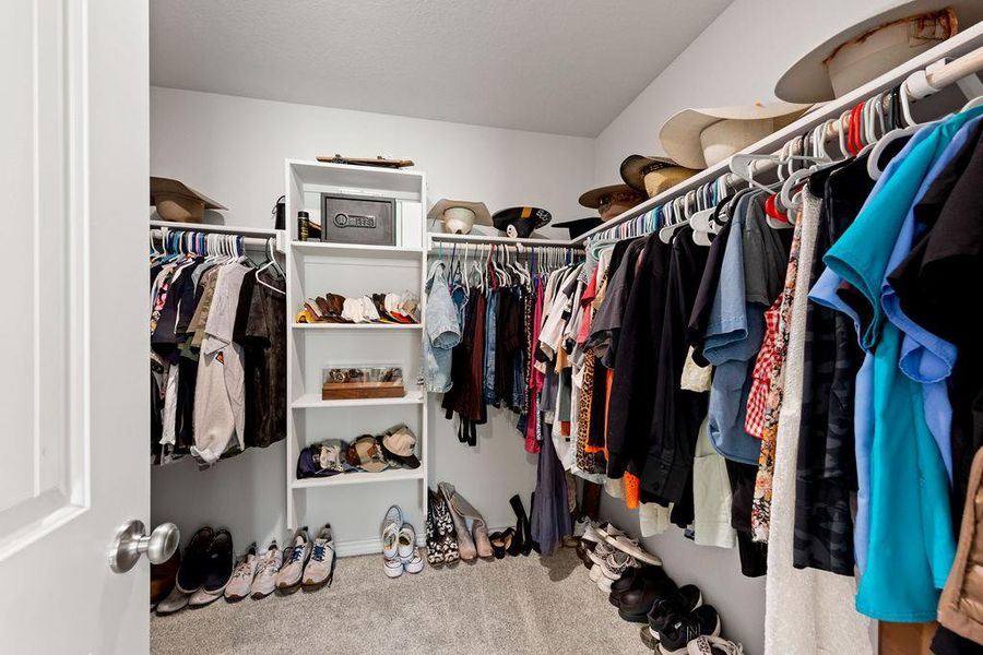 Spacious closet featuring carpet