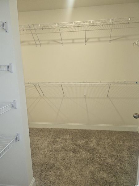 Spacious, unfurnished interior of a new home in Avery Woods, Longs (Image 29).