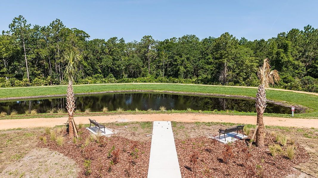 Natural landscape and outdoor views near Colbert Landings in Palm Coast (Image 64).