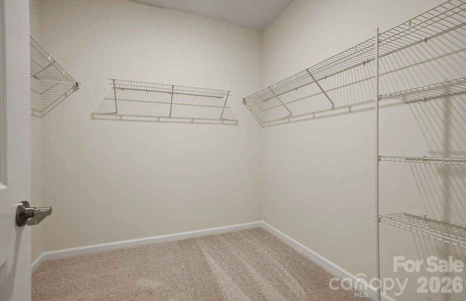 Representative Photo Only Representative Photo Only