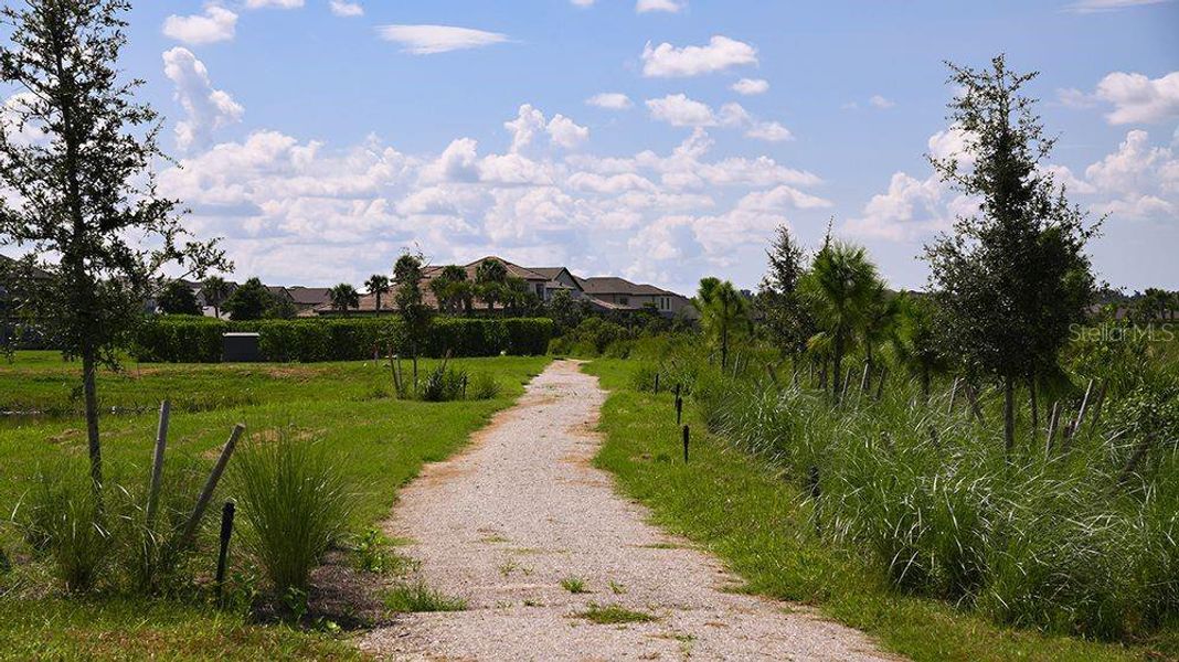 Natural landscape and outdoor views near in Sarasota (Image 45). Natural landscape and outdoor views near in Sarasota (Image 45).