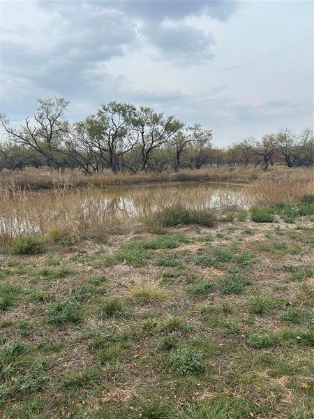 Natural landscape and outdoor views near  in Graham (Image 17).