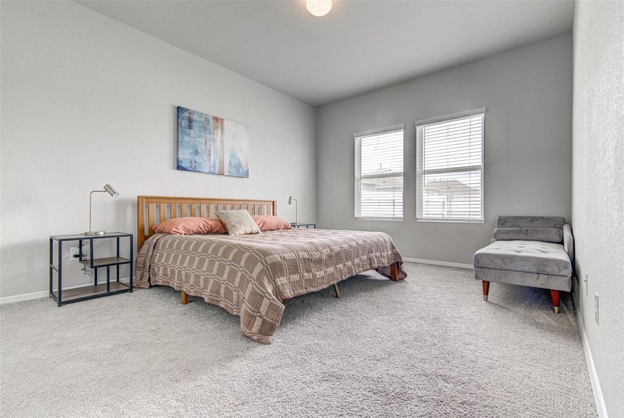 Natural light floods this spacious sleeping area with soft, plush carpeting. Natural light floods this spacious sleeping area with soft, plush carpeting.