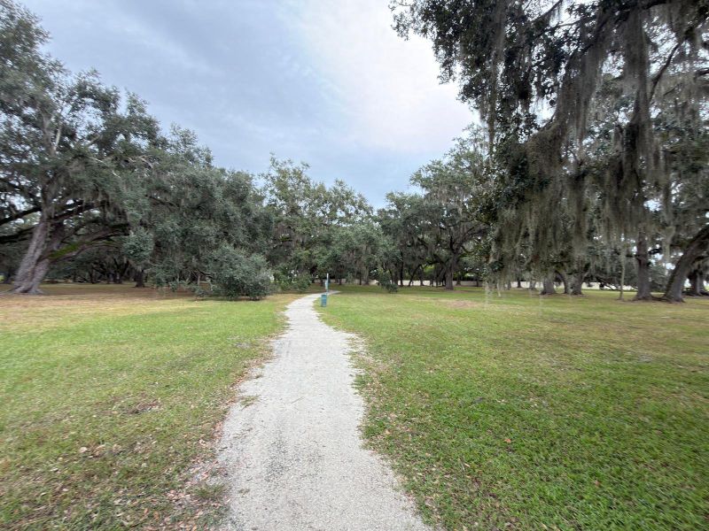 Natural landscape and outdoor views near in Kissimmee (Image 26). Natural landscape and outdoor views near in Kissimmee (Image 26).