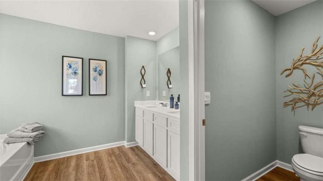 Furnished interior view inside a new home in Shoal Creek, Hampton (Image 9).