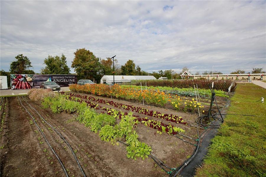 Image 58 of a home in .