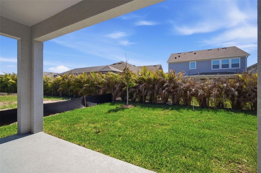 Exterior details and patio area of a home in Waterset, Apollo Beach (Image 25). Exterior details and patio area of a home in Waterset, Apollo Beach (Image 25).