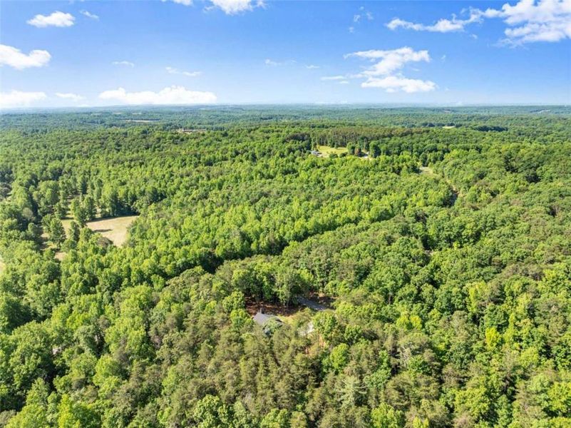 Natural landscape and outdoor views near  in Clarkesville (Image 63).