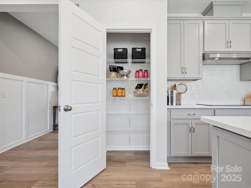 Large Pantry for All Storage Needs Large Pantry for All Storage Needs