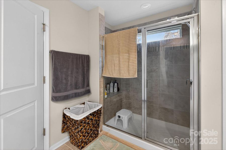 Primary Walking Shower