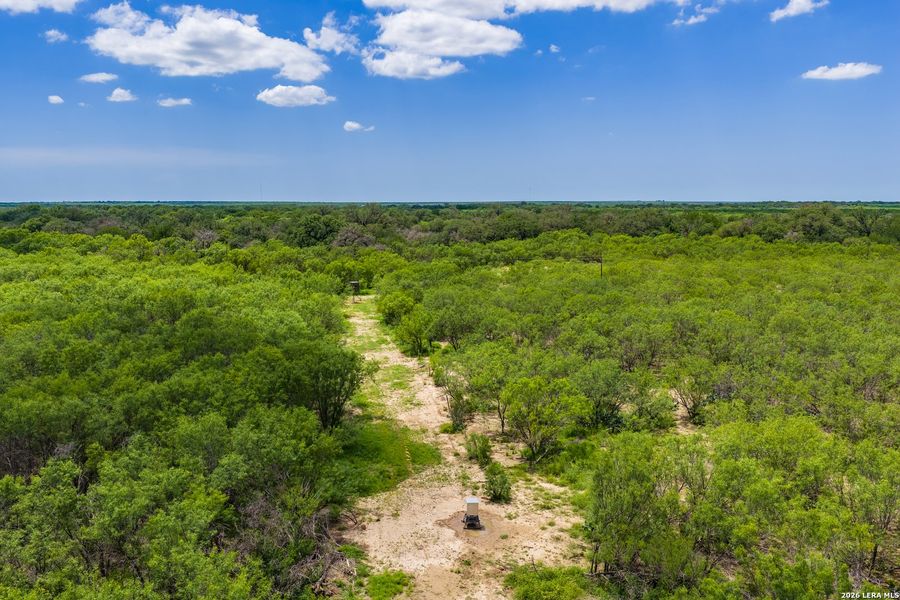 Natural landscape and outdoor views near  in Crystal City (Image 36).