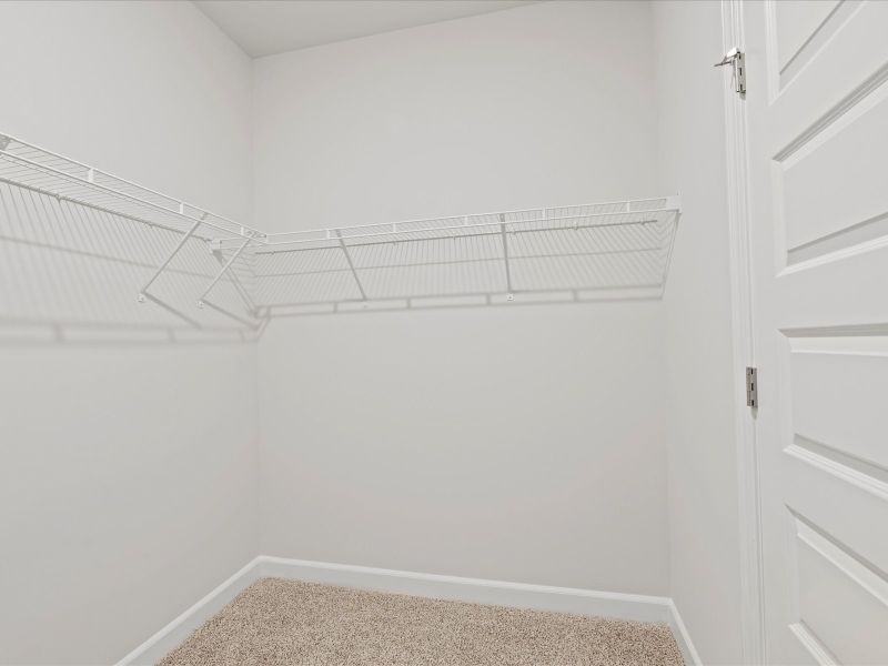 Welcome to the Buchanan floorplan at Holland Park.