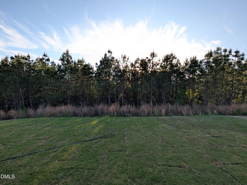 PXL_20260421_225129127.MP