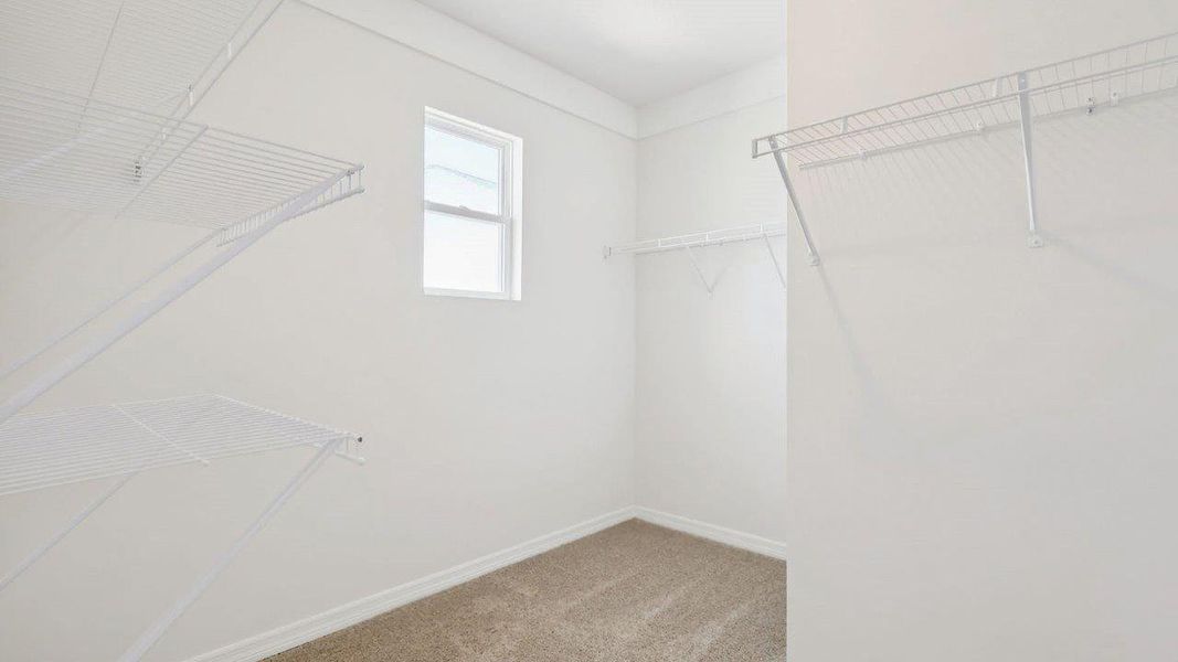 Spacious, unfurnished interior of a new home in Millstone, Lakeland (Image 24). Spacious, unfurnished interior of a new home in Millstone, Lakeland (Image 24).