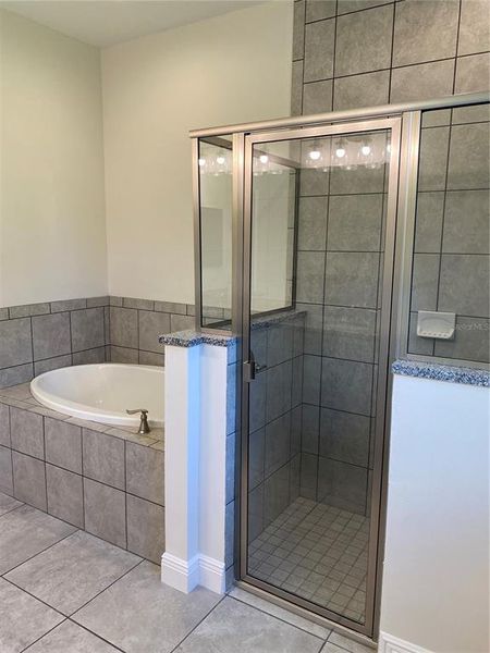 Primary Bathroom Shower and bathtub