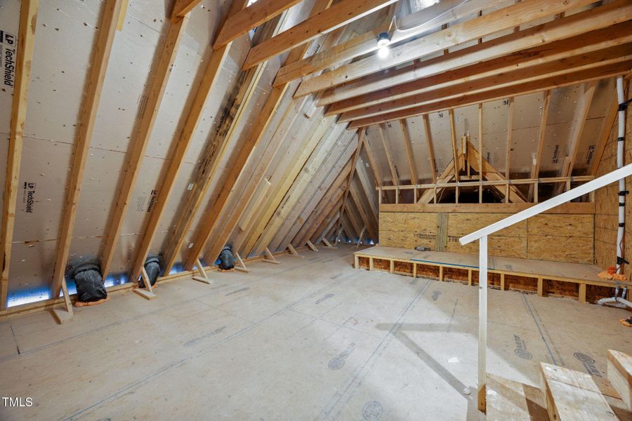 52-web-or-mls-IMG_9613