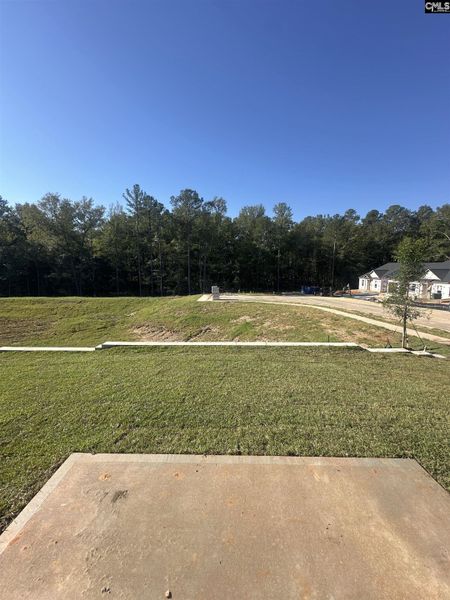 Natural landscape and outdoor views near Piney Woods Bluff in Columbia (Image 9).
